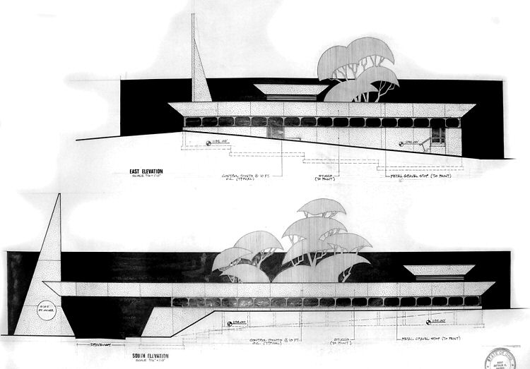 Preliminary study (c) ACM
